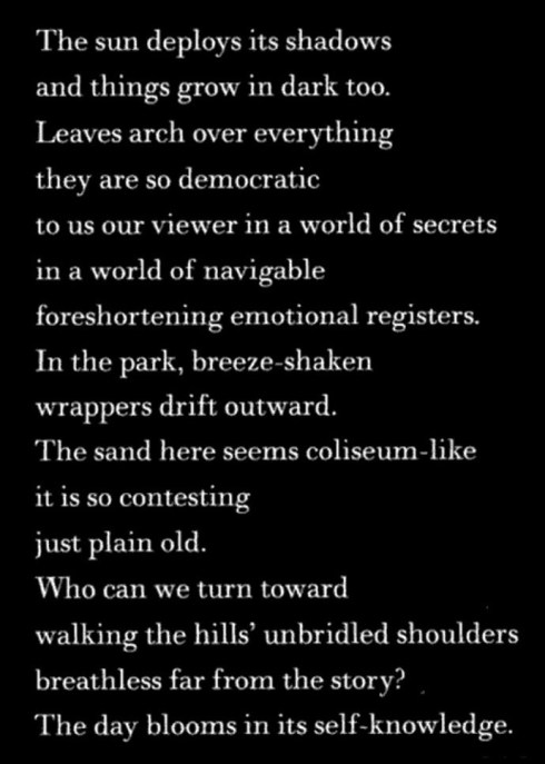 Gizzi outer negative