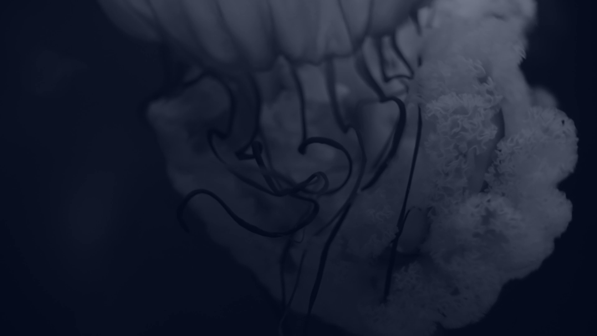 vlcsnap-2020-09-21-15h34m55s399