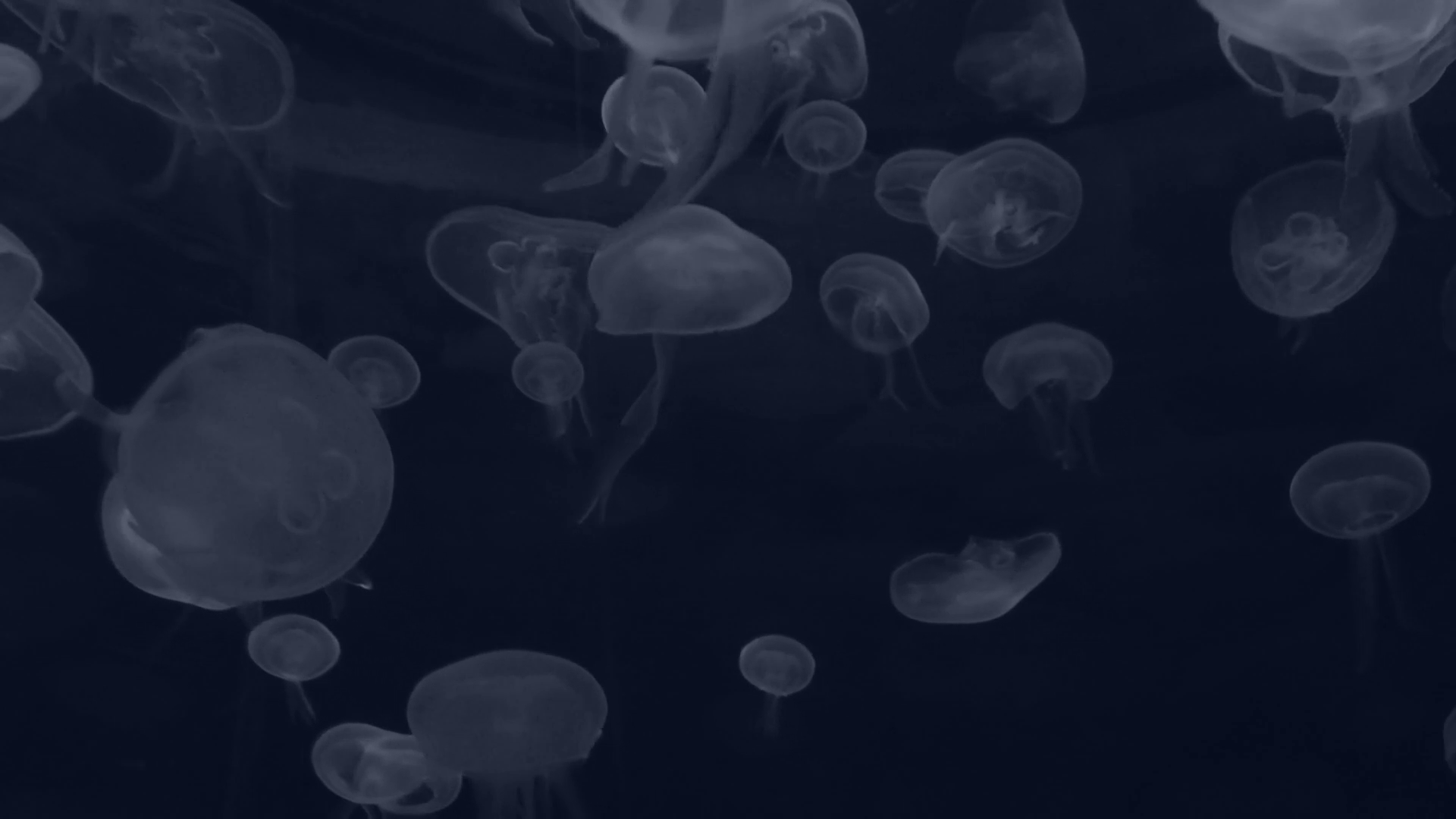 vlcsnap-2020-11-18-14h53m40s823